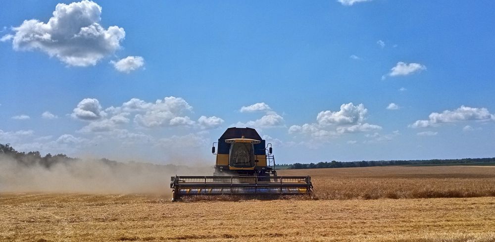 La Commission européenne attend une récolte en baisse pour la plupart des cultures en Ukraine, mais proche de la moyenne quinquennale.