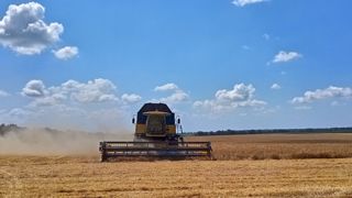 La Commission européenne attend une récolte en baisse pour la plupart des cultures en Ukraine, mais proche de la moyenne quinquennale. La Commission européenne attend une récolte en baisse pour la plupart des cultures en Ukraine, mais proche de la moyenne quinquennale.