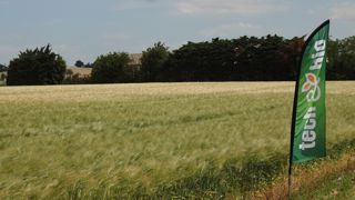 Dans l'essai de la ferme expérimentale, les apports de phosphate n'entraînent pas de hausse linéaire de la teneur du sol en phosphore. Ils permettent de maintenir des valeurs acceptables mais pas de les relever à court terme. Dans l'essai de la ferme expérimentale, les apports de phosphate n'entraînent pas de hausse linéaire de la teneur du sol en phosphore. Ils permettent de maintenir des valeurs acceptables mais pas de les relever à court terme.