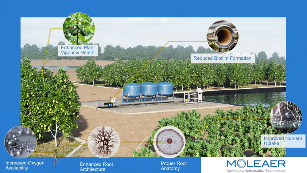 Husqvarna investit dans les nanotechnologies avec Moleaer Inc.