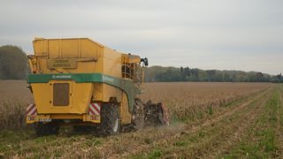 Confrontée à une augmentation sans précédent des coûts de production et un manque de disponibilité de main-d’œuvre saisonnière, la filière de production française reste mobilisée et engagée pour sauvegarder des volumes de production et garantir la qualité. Confrontée à une augmentation sans précédent des coûts de production et un manque de disponibilité de main-d’œuvre saisonnière, la filière de production française reste mobilisée et engagée pour sauvegarder des volumes de production et garantir la qualité.