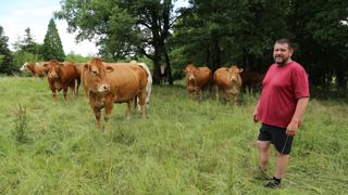 « Les animaux paturent les parcelles de luzerne en mélange en fin d'été et à l automne en fil avant et fil arrière », explique Stéphane Gorce. « Les animaux paturent les parcelles de luzerne en mélange en fin d'été et à l automne en fil avant et fil arrière », explique Stéphane Gorce.