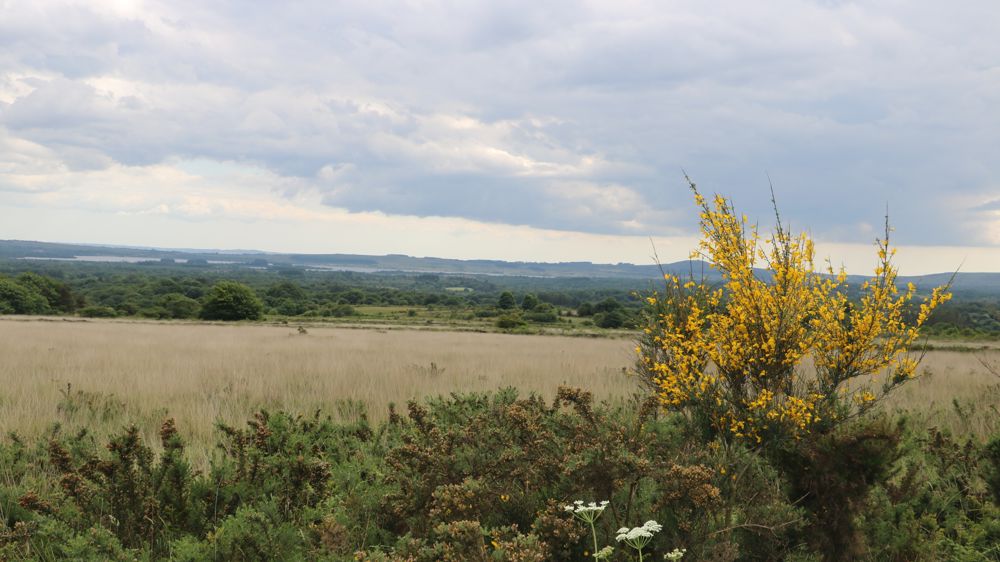 De nombreux points offrent une vue sur le paysage particulier des monts d'Arrée.