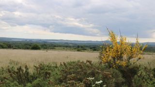 De nombreux points offrent une vue sur le paysage particulier des monts d'Arrée. De nombreux points offrent une vue sur le paysage particulier des monts d'Arrée.