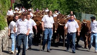 La famille Flagel a fait défilé quarante vaches salers. La famille Flagel a fait défilé quarante vaches salers.
