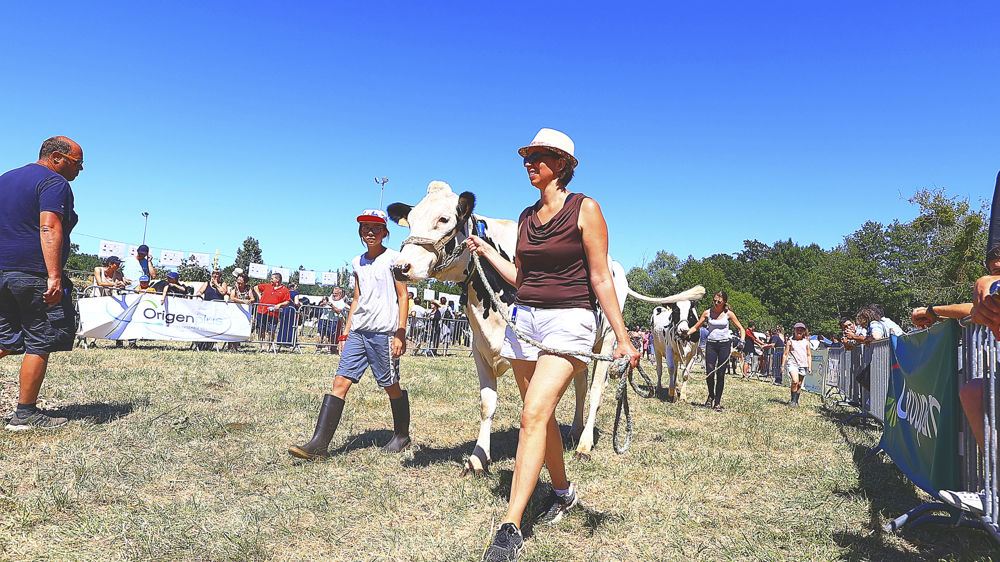 Dans l'Orne, le comice agricole de Saint-Germain-de-la-Coudre a eu lieu le dimanche 10 juillet 2022.
