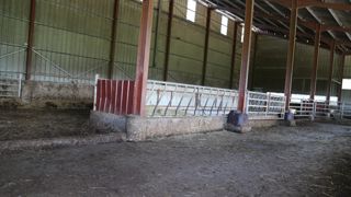 Le couloir raclé de 4,5 m évite le salissement trop rapide de l'aire de couchage. Le couloir raclé de 4,5 m évite le salissement trop rapide de l'aire de couchage.
