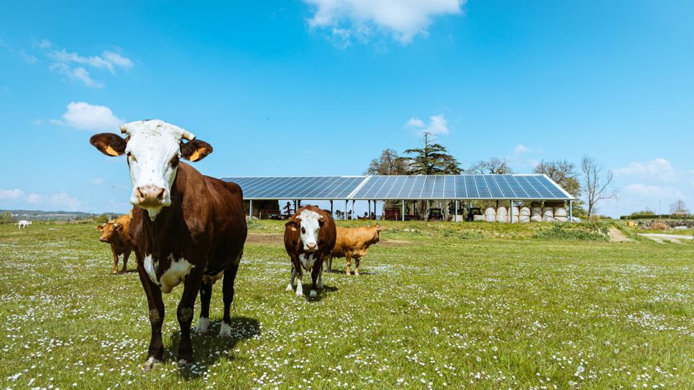 Irisolaris, l’expert français de l’énergie renouvelable en agriculture