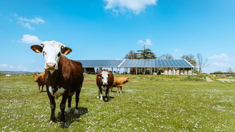 Irisolaris, l’expert français de l’énergie renouvelable en agriculture Irisolaris, l’expert français de l’énergie renouvelable en agriculture