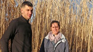 Le miscanthus renforce l’autonomie en litière Le miscanthus renforce l’autonomie en litière