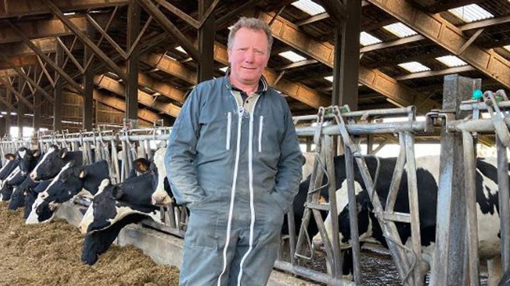 Des betteraves dans la ration pour améliorer les taux du lait 