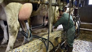 Le prix du lait européen dépasse 400 €/1 000 litres en novembre Le prix du lait européen dépasse 400 €/1 000 litres en novembre