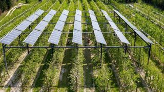 L’Afnor dévoile un label « projet agrivoltaïque » L’Afnor dévoile un label « projet agrivoltaïque »