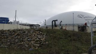 Le WWF évalue le potentiel énergétique de la biomasse Le WWF évalue le potentiel énergétique de la biomasse