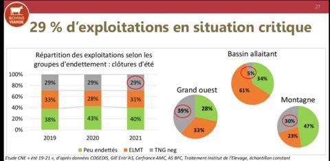 29 % des exploitations en bovins viande ont une trésorerie nette globale négative. Extrait de l’Observatoire de l’endettement et des trésoreries des élevages bovins, 2019-2021. Clôture : été 2021