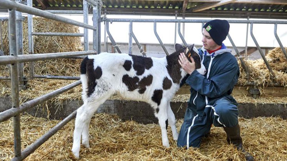 Le palmarès 2022 des lycées agricoles