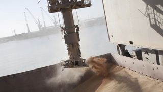 Les prix des céréales et oléagineux restent au sommet Les prix des céréales et oléagineux restent au sommet