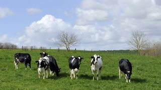Le printemps s’invite dans la météo de la semaine Le printemps s’invite dans la météo de la semaine