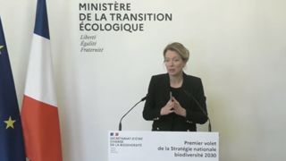 Les premières actions pour la biodiversité esquissées Les premières actions pour la biodiversité esquissées