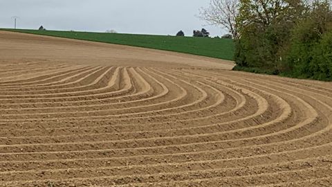 Les producteurs de pommes de terre dans l’incertitude Les producteurs de pommes de terre dans l’incertitude