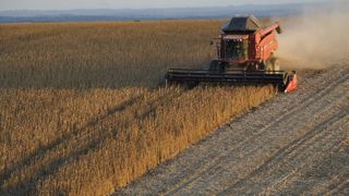 Au Brésil, une loi controversée sur les pesticides Au Brésil, une loi controversée sur les pesticides