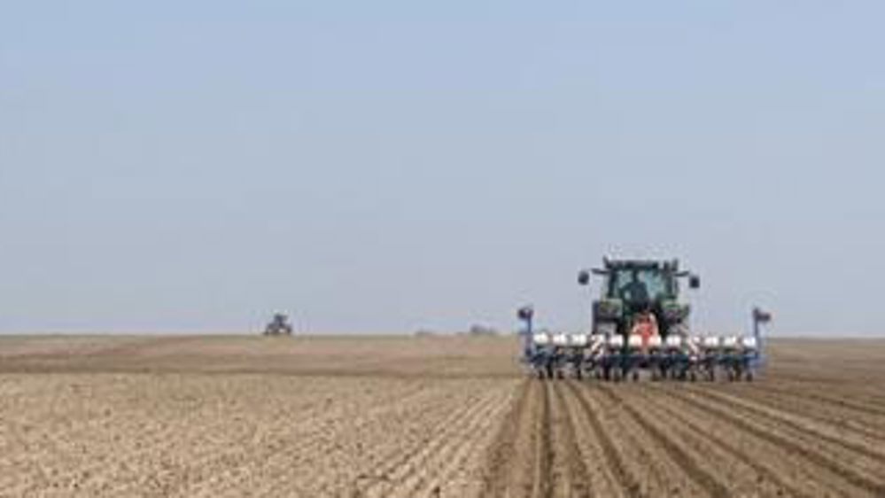 Semis de betteraves à tout va