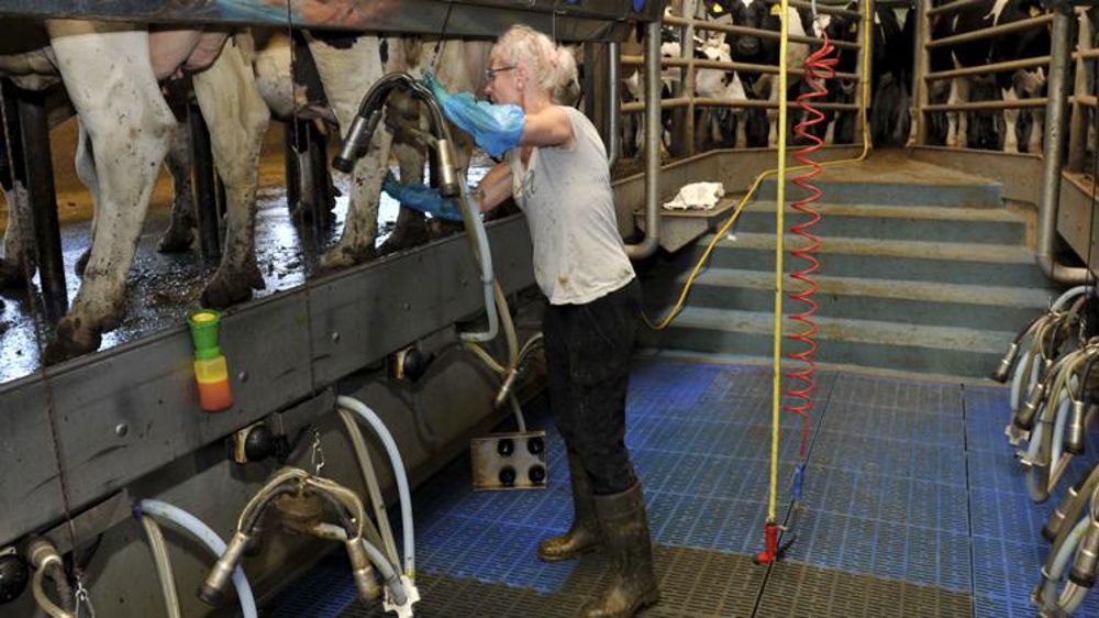 Comment embaucher des réfugiés ukrainiens ?