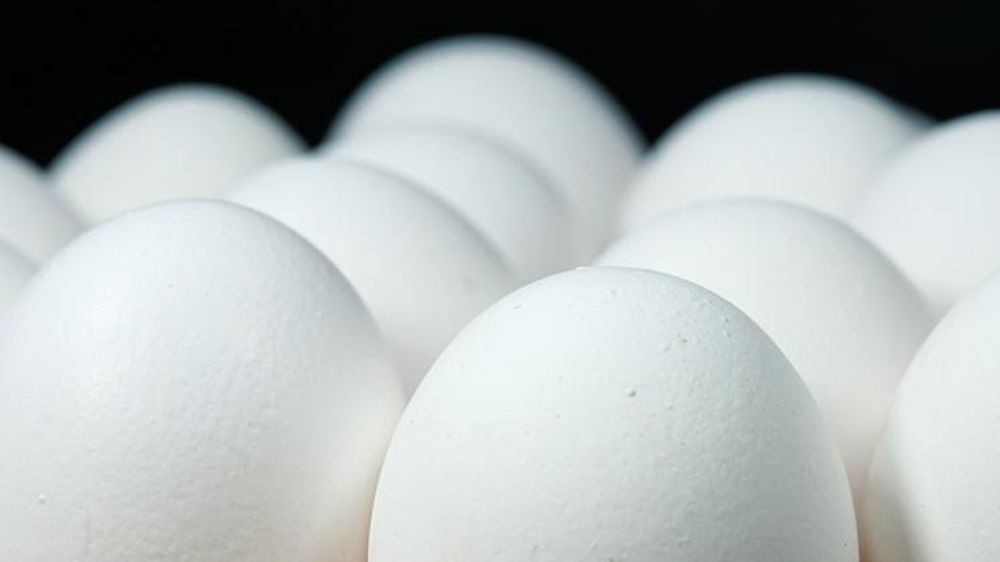 Le prix record des œufs s’approche avec la grippe aviaire