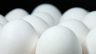Le prix record des œufs s’approche avec la grippe aviaire Le prix record des œufs s’approche avec la grippe aviaire