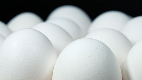 Le prix record des œufs s’approche avec la grippe aviaire Le prix record des œufs s’approche avec la grippe aviaire