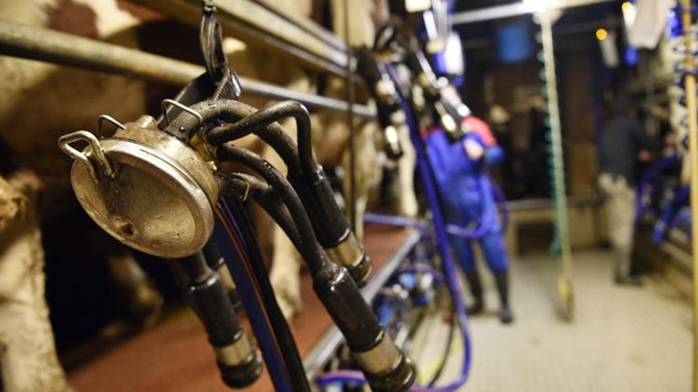 Tous les maillons de la filière laitière subissent des hausses de charges