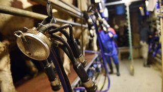 Tous les maillons de la filière laitière subissent des hausses de charges Tous les maillons de la filière laitière subissent des hausses de charges