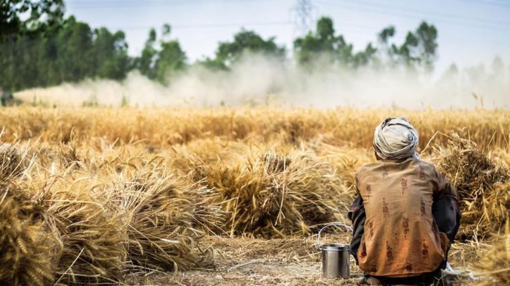 Elles veulent une action urgente pour la sécurité alimentaire