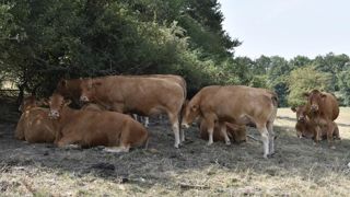 Les cinq revendications du Modef pour surmonter la sécheresse Les cinq revendications du Modef pour surmonter la sécheresse