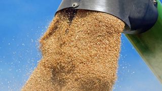 Washington espère que l’Inde va renoncer à ne pas exporter de blé Washington espère que l’Inde va renoncer à ne pas exporter de blé