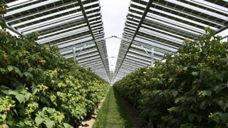 Bruxelles suggère d’intégrer l’agrivoltaïsme à la Pac Bruxelles suggère d’intégrer l’agrivoltaïsme à la Pac