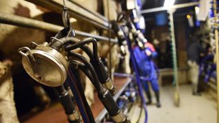 Manque de « visibilité » pour la filière laitière Manque de « visibilité » pour la filière laitière
