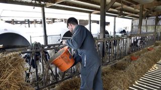 Des précisions concernant l’aide à l’alimentation animale Des précisions concernant l’aide à l’alimentation animale