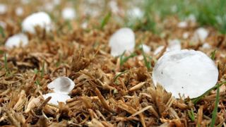 L’amélioration de la gestion des aléas climatiques est nécessaire L’amélioration de la gestion des aléas climatiques est nécessaire