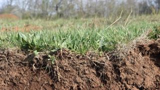 Mettre en avant les cobénéfices des démarches carbone Mettre en avant les cobénéfices des démarches carbone