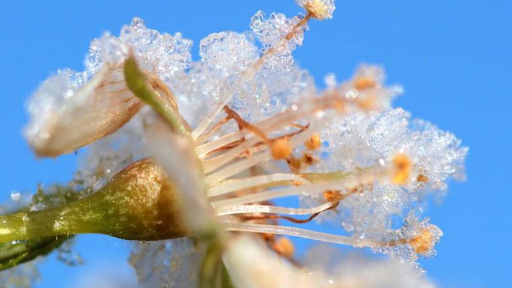 De l’argent débloqué pour les prises en charge de cotisations 