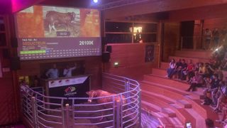 Un taureau limousin vendu 26 100 € à Lanaud Un taureau limousin vendu 26 100 € à Lanaud