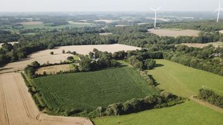 La Commission européenne veut « restaurer la nature » La Commission européenne veut « restaurer la nature »