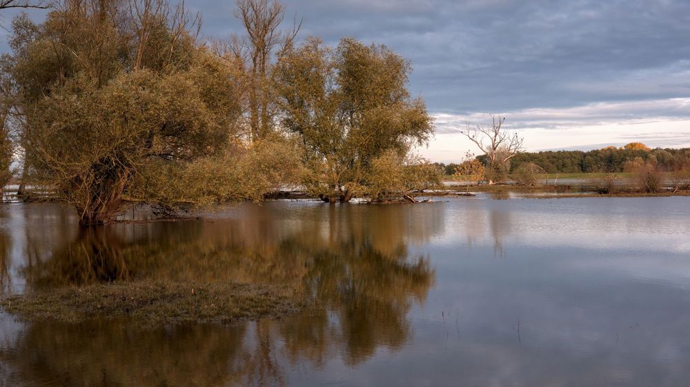 Des communes de 31 départements reconnues