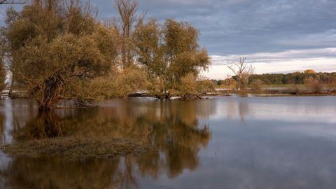 Des communes de 31 départements reconnues Des communes de 31 départements reconnues