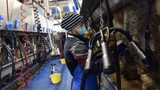 Un prix du lait en hausse, mais pas assez motivant Un prix du lait en hausse, mais pas assez motivant