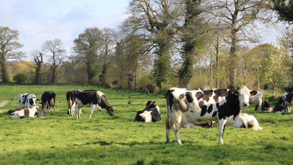 Trouver de nouveaux repères pour les fermes laitières