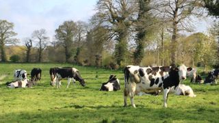 Trouver de nouveaux repères pour les fermes laitières Trouver de nouveaux repères pour les fermes laitières