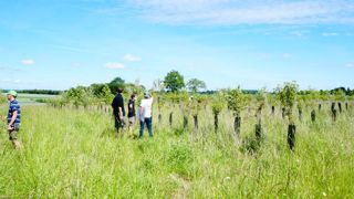 Des arbres pour créer du lien Des arbres pour créer du lien