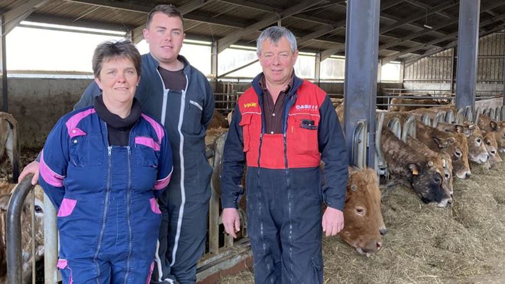 Conduire un élevage de bovins allaitants en montagne et en plaine